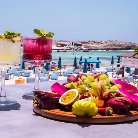 Отель Pavlo Napa