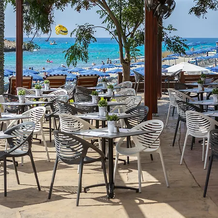 Pavlo Napa Hotel 4*