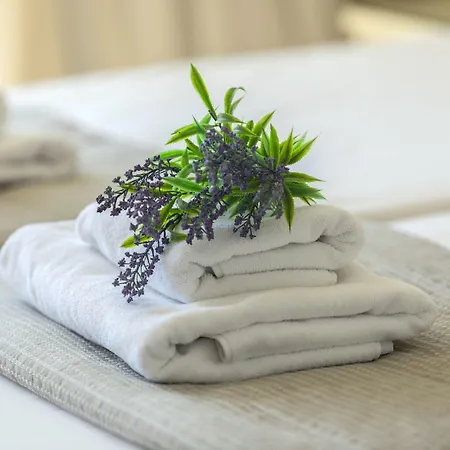 Pavlo Napa Hotel 4*