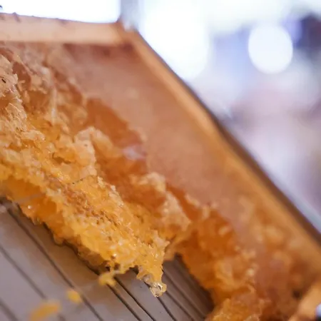 Pavlo Napa Otel Aya Napa