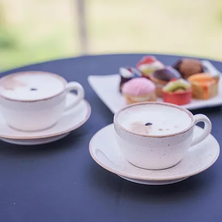 Pavlo Napa Hotel 4*