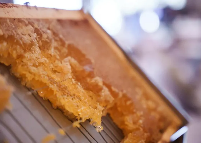 Pavlo Napa Hotell Ayia Napa